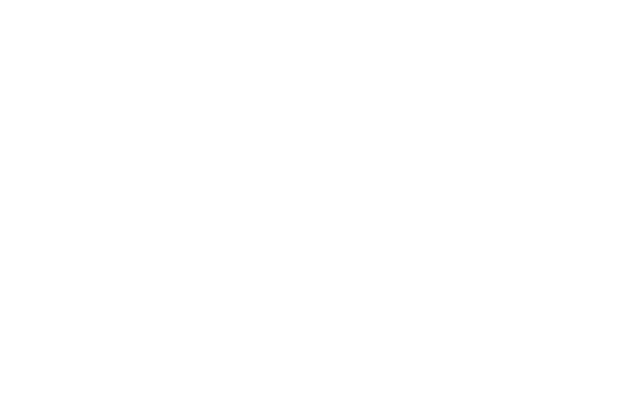 LOGO STEAMY BN-01